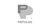 Logo_Peñoles
